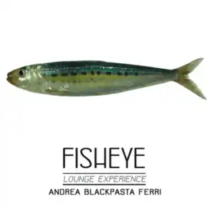 Fisheye - Lounge Experience