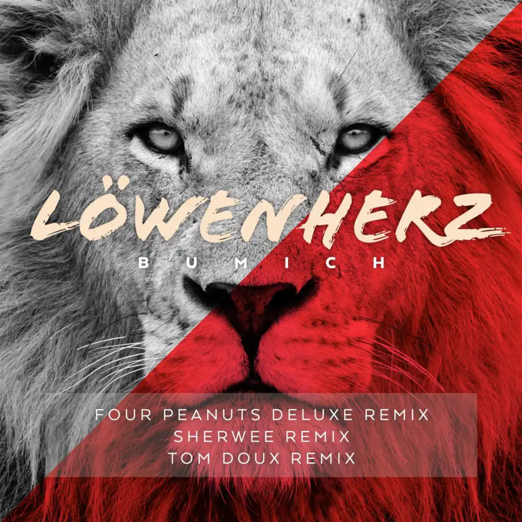 Löwenherz (The Remixes)