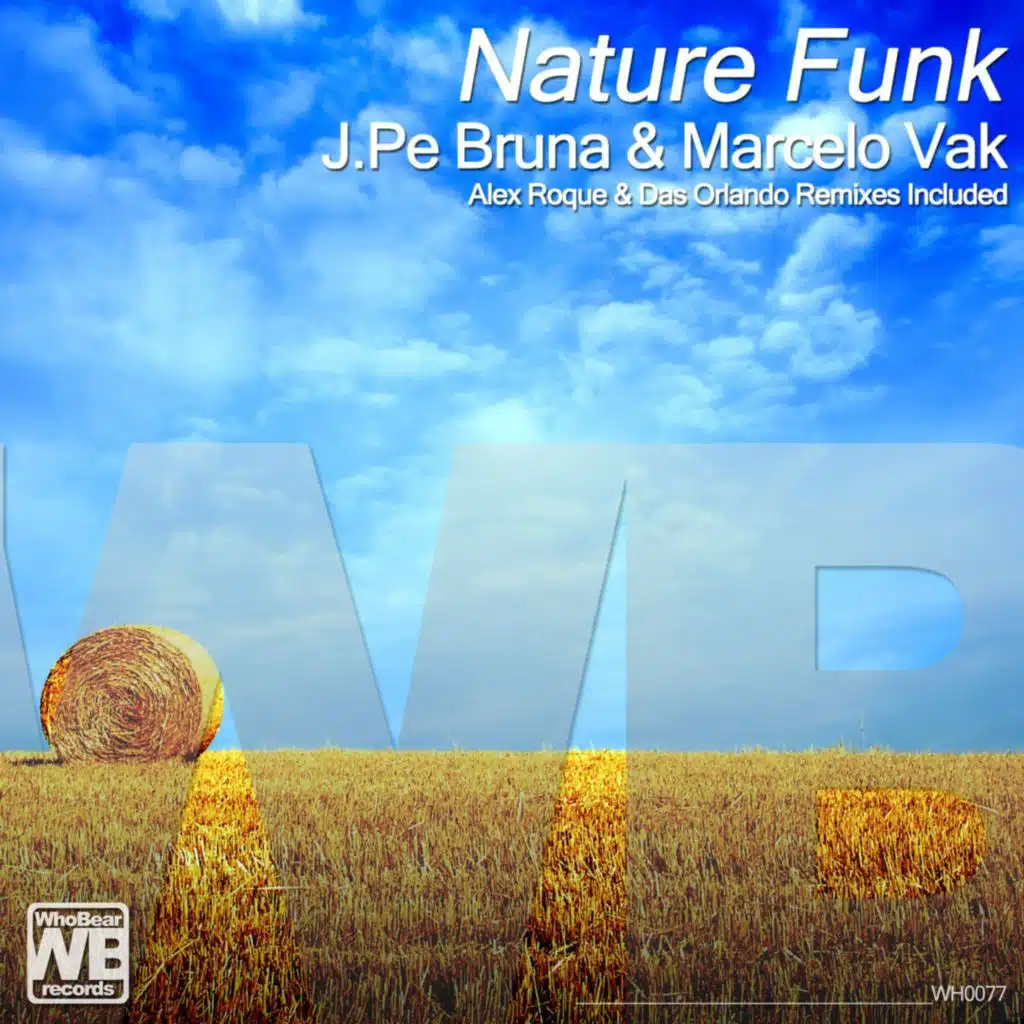 Nature Funk (Das Orlando Remix)