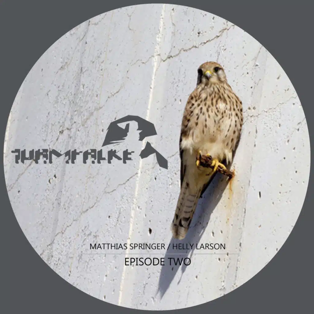 Matthias Springer & Helly Larson