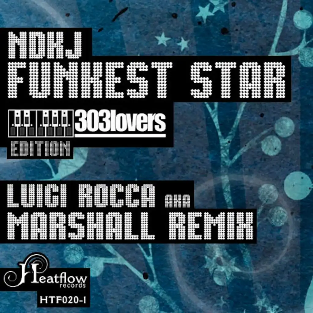 Funkest Star (Luigi Rocca remix)