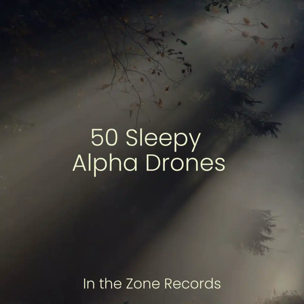 50 Sleepy Alpha Drones