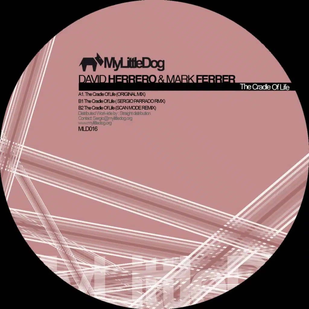 David Herrero & Mark Ferrer