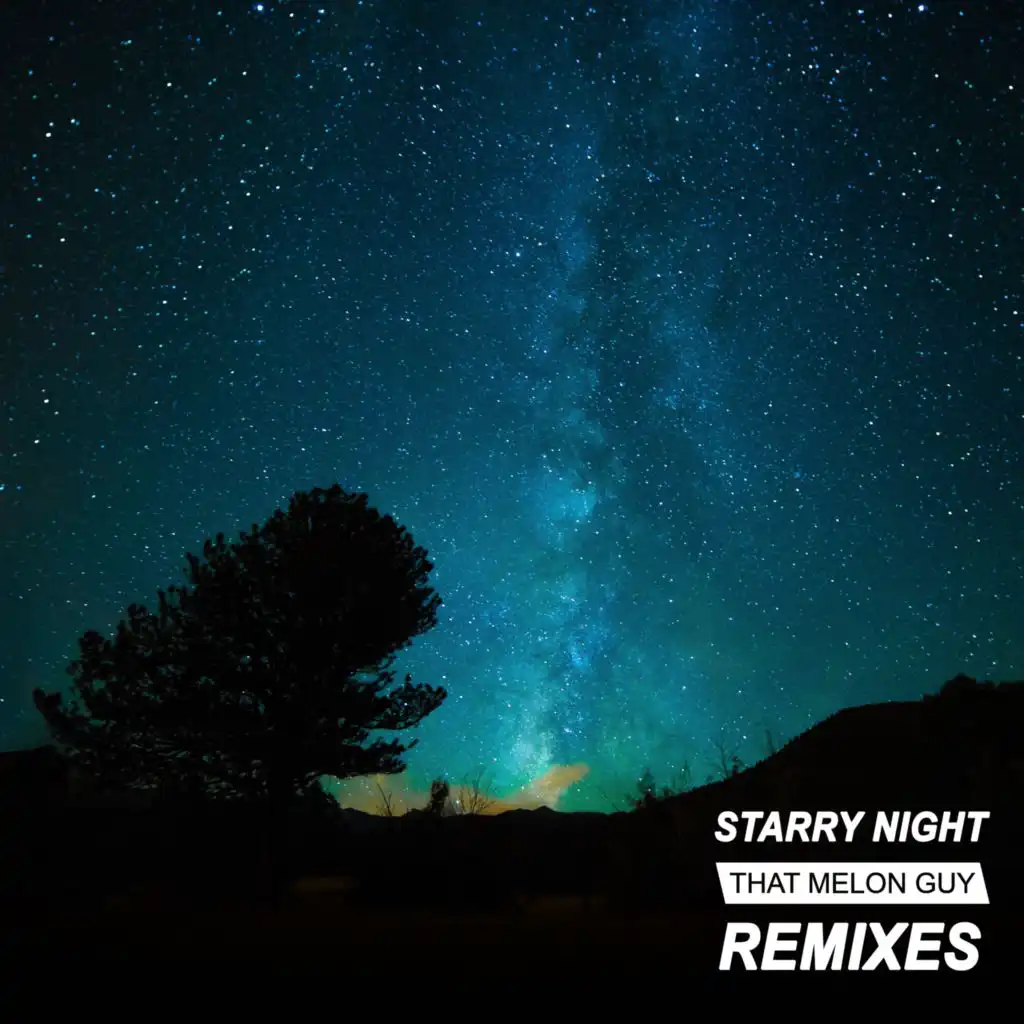 Starry Night (Jay Bird Remix)