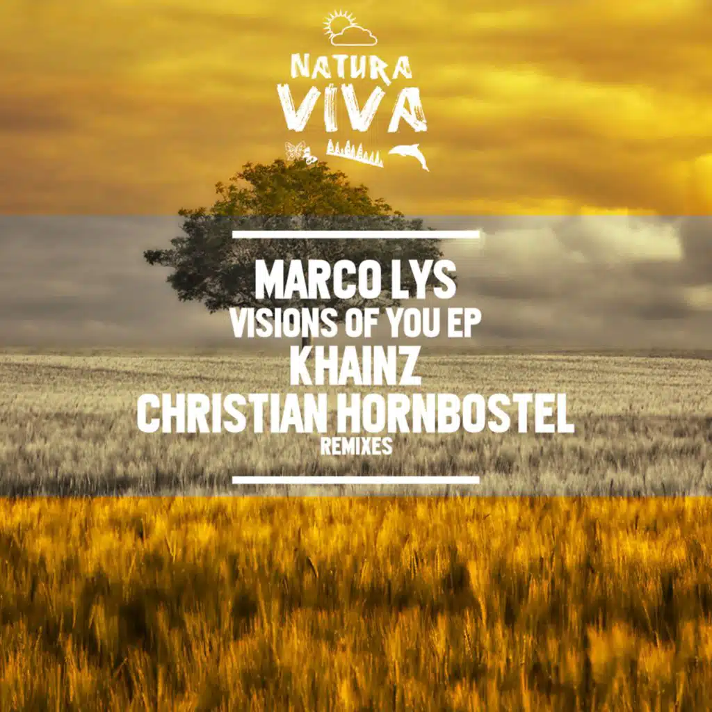 Visions of You (Christian Hornbostel Remix)