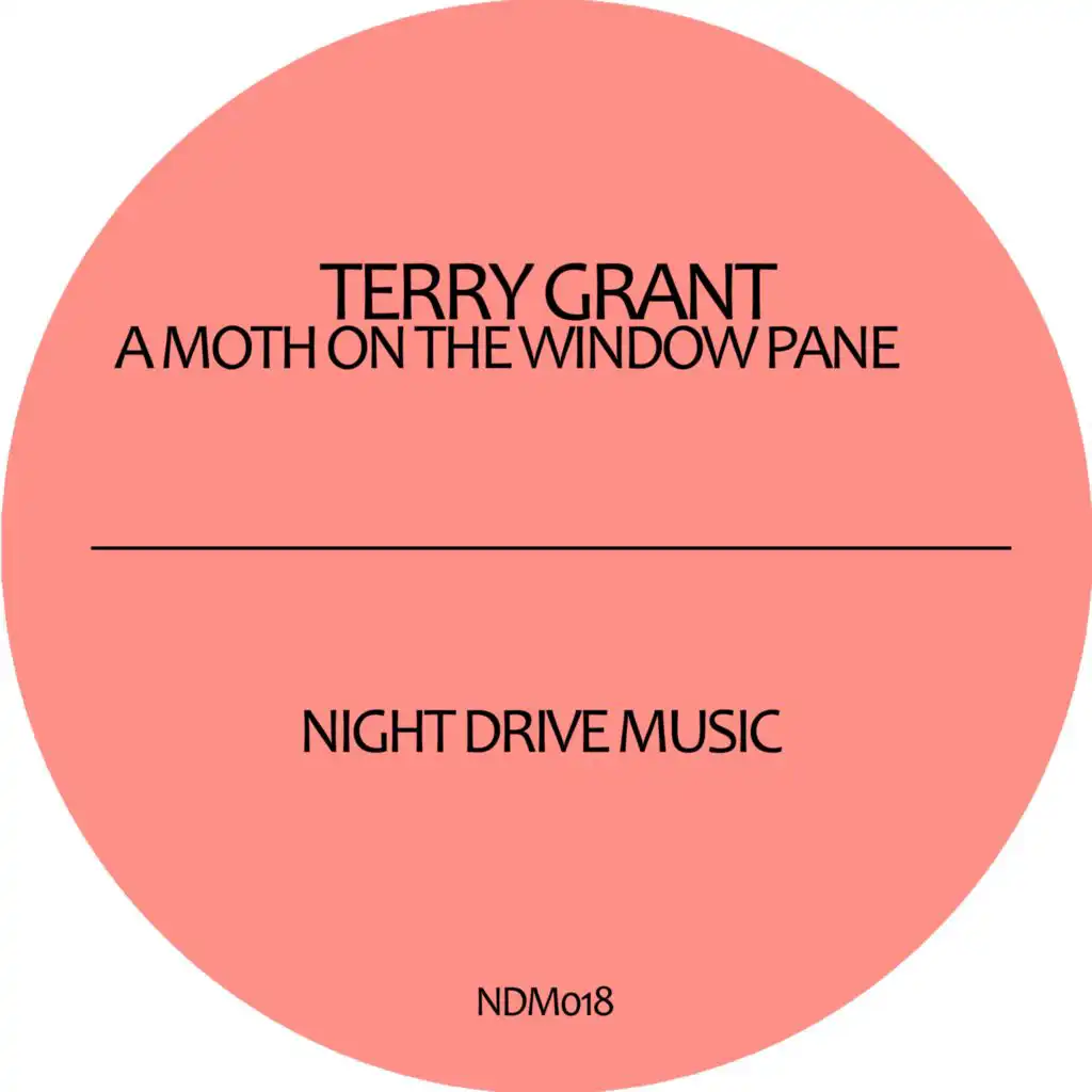 A Moth On the Window Pane (Scope Remix)