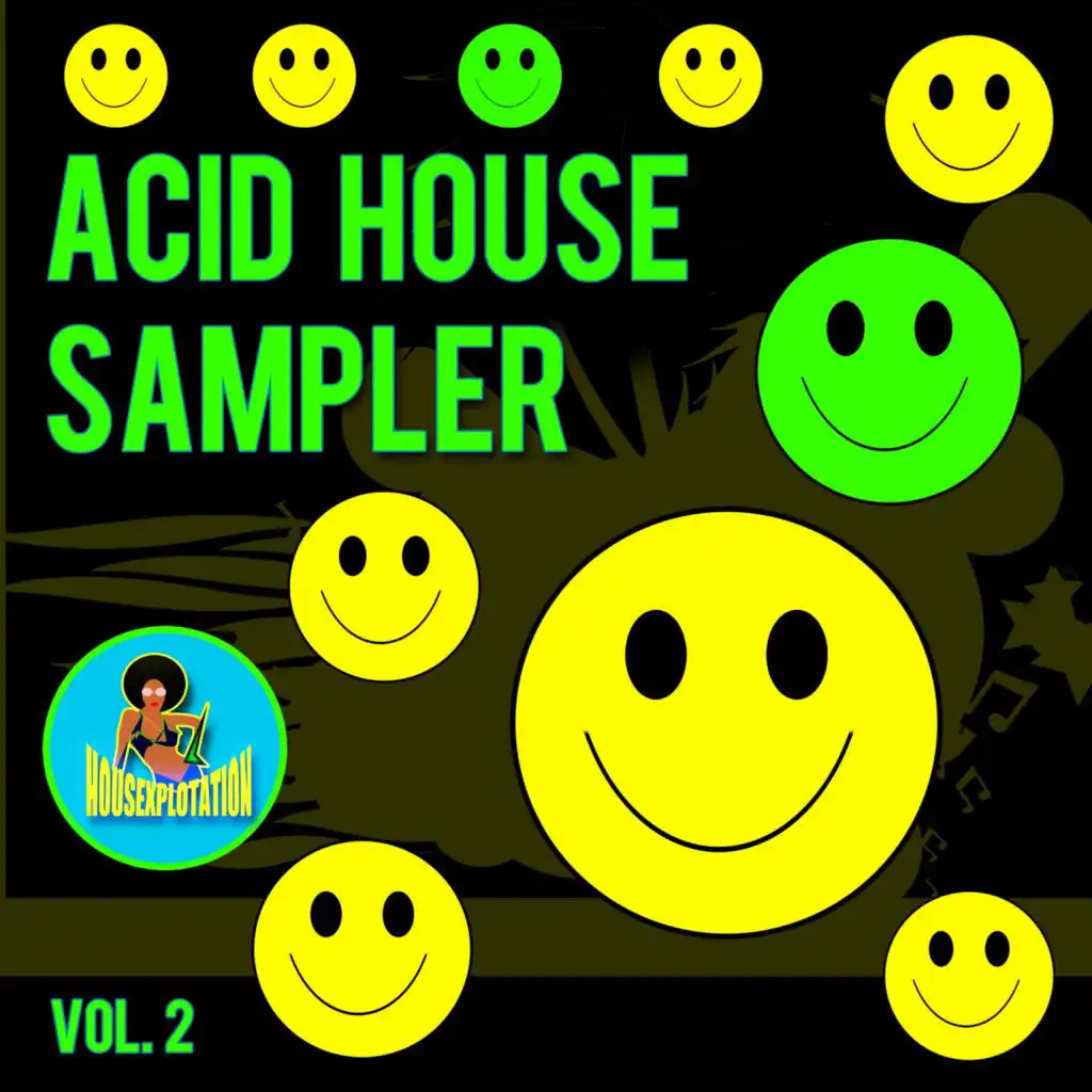 Acid House Sampler, Vol. 2