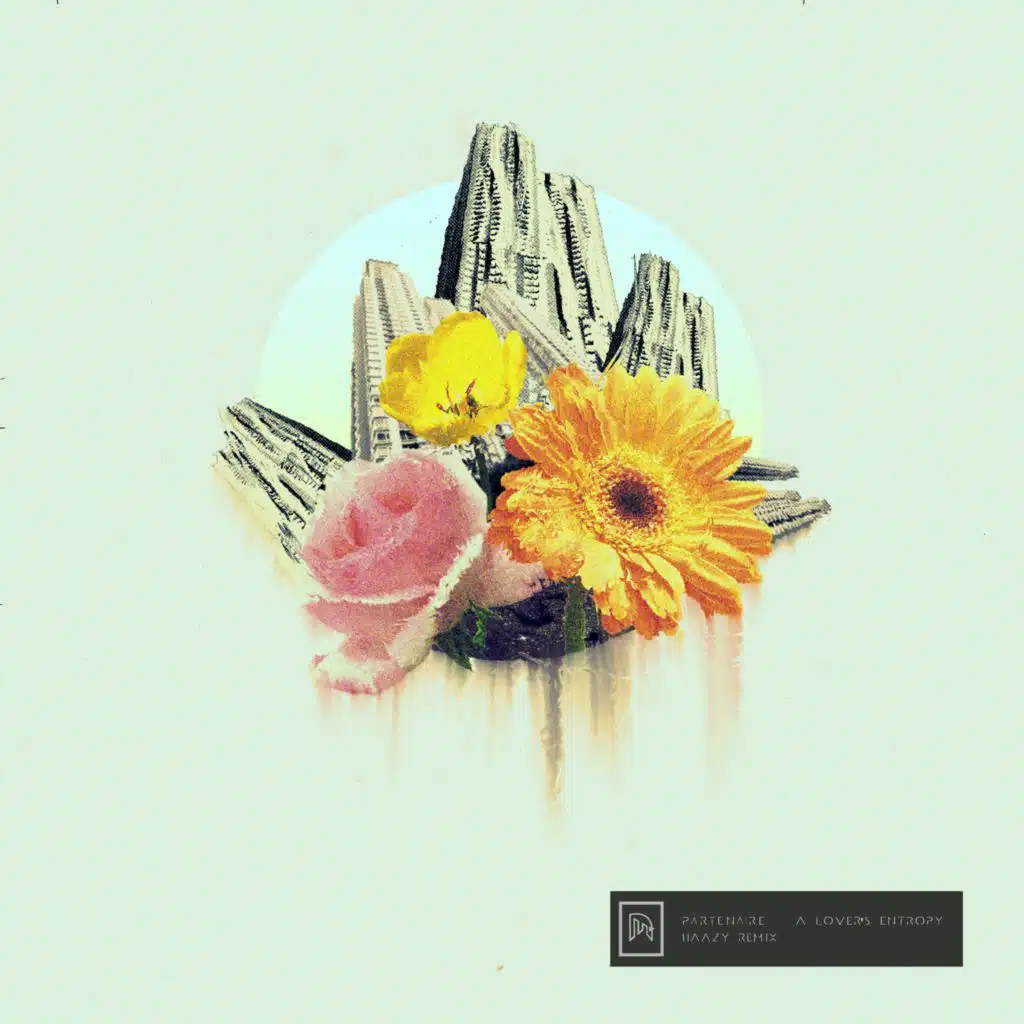 A Lover's Entropy (Haazy Remix)