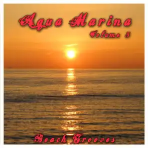 Aqua Marina 5 - The Beach Grooves