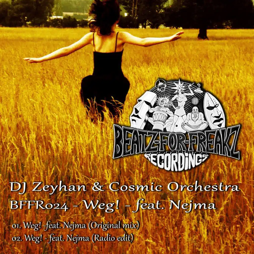 DJ Zeyhan & Cosmic Orchestra