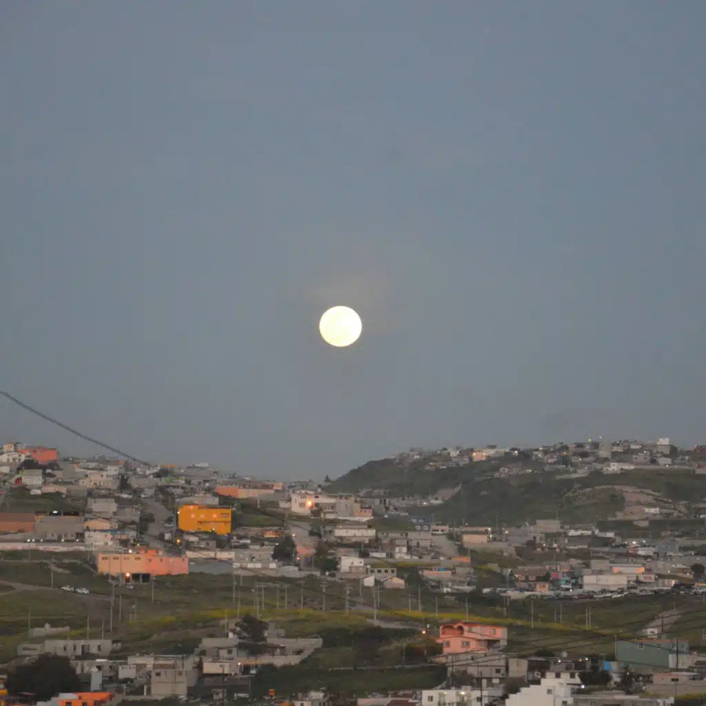 ¿Perfecta? (Acoustic Versions)