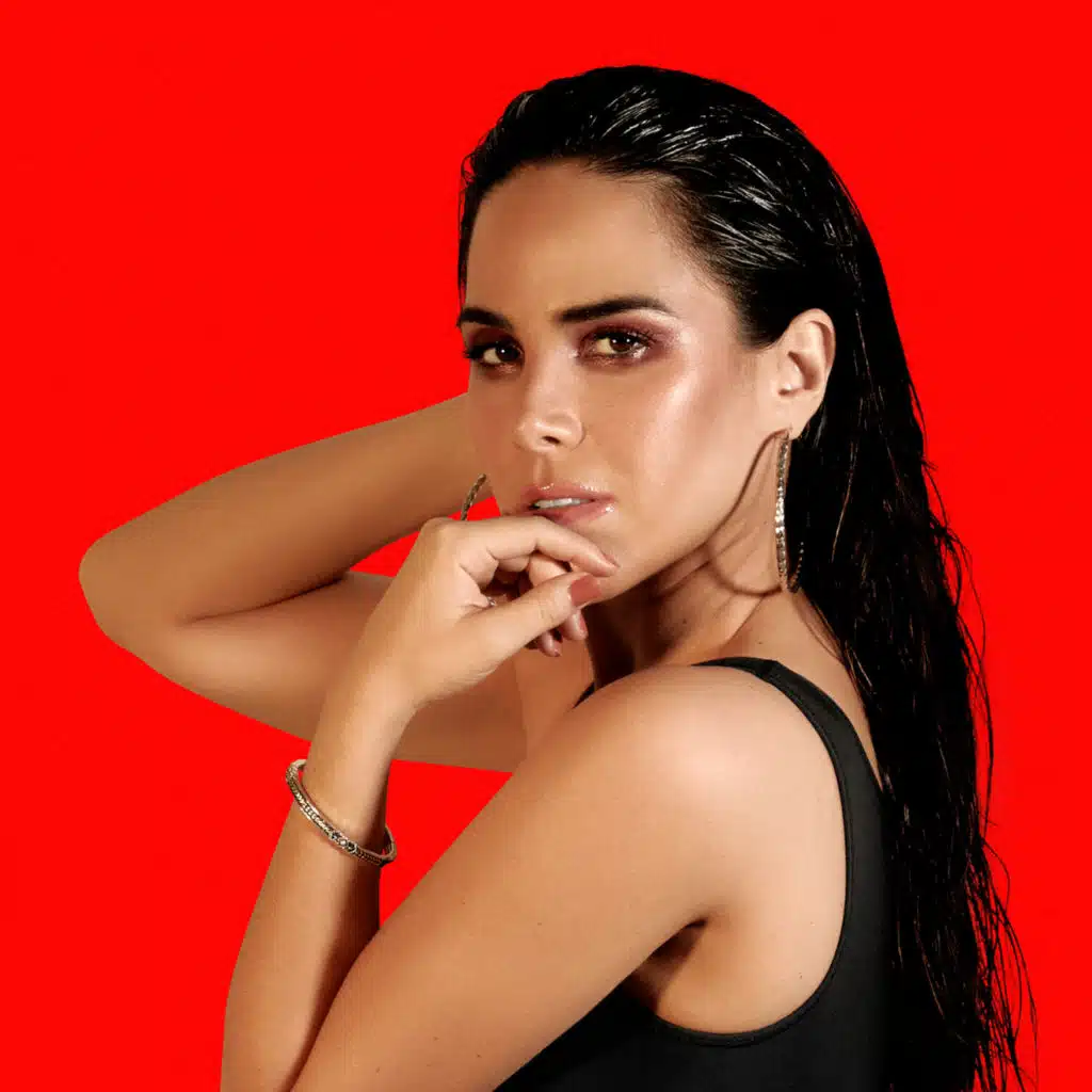 Vou Lembrar (Radio Mix)