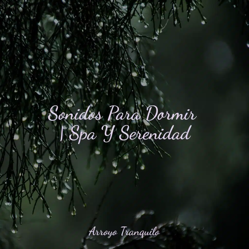 Sonidos Para Dormir | Spa Y Serenidad