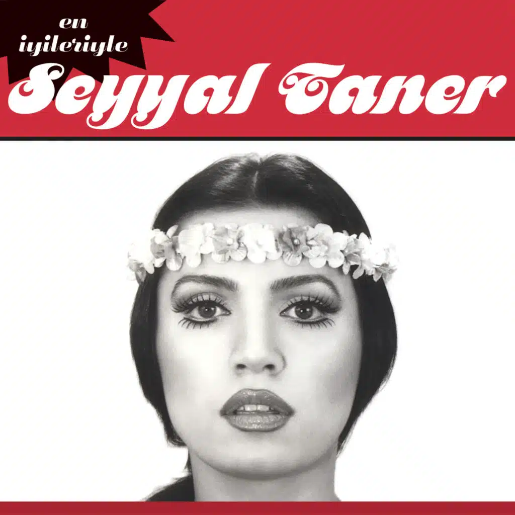En İyileriyle Seyyal Taner