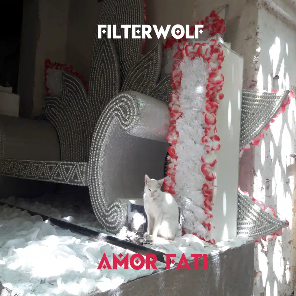 Filterwolf
