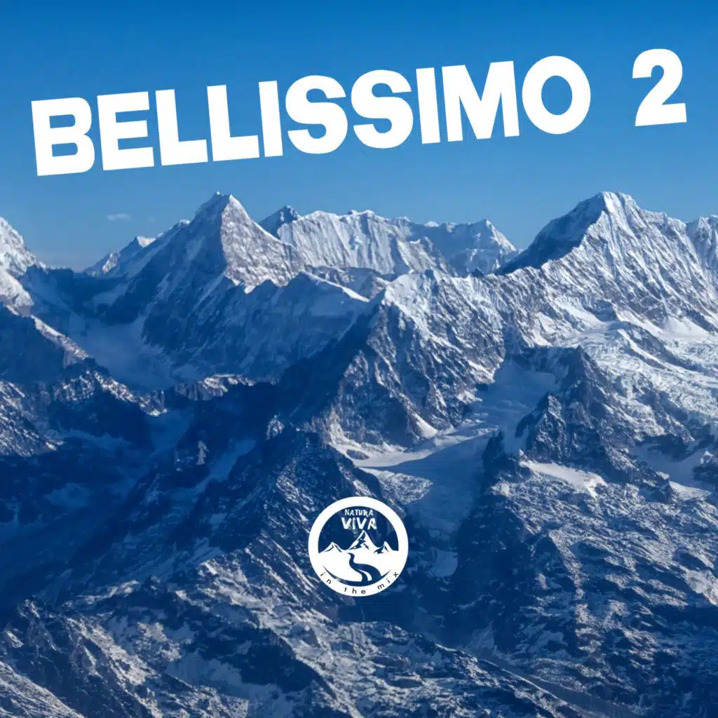 Mark Tarmonea, Yannek Maunz, Brascon & Johanson