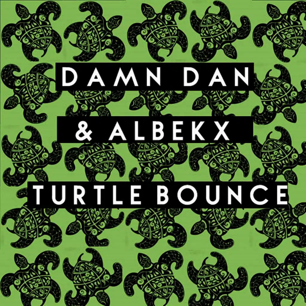 Turtle Bounce