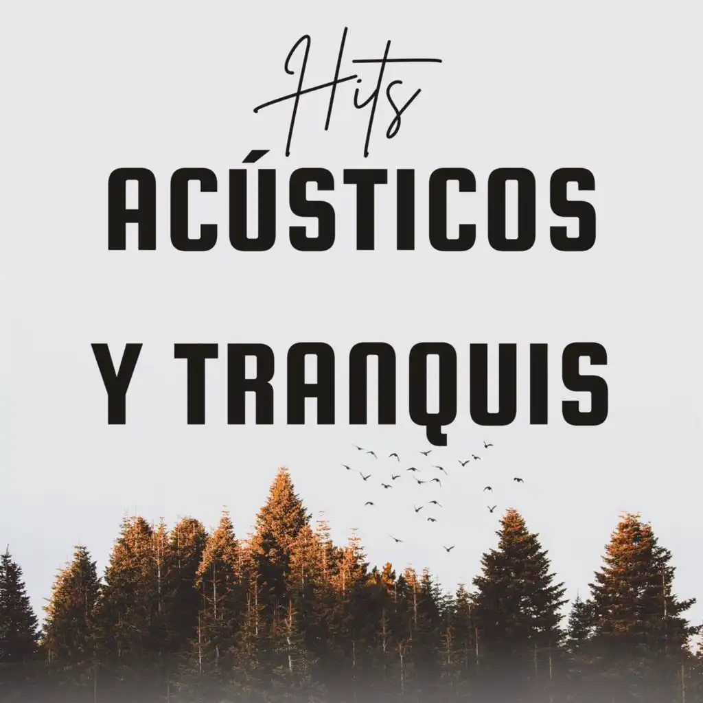 Hits Acústicos y Tranquis