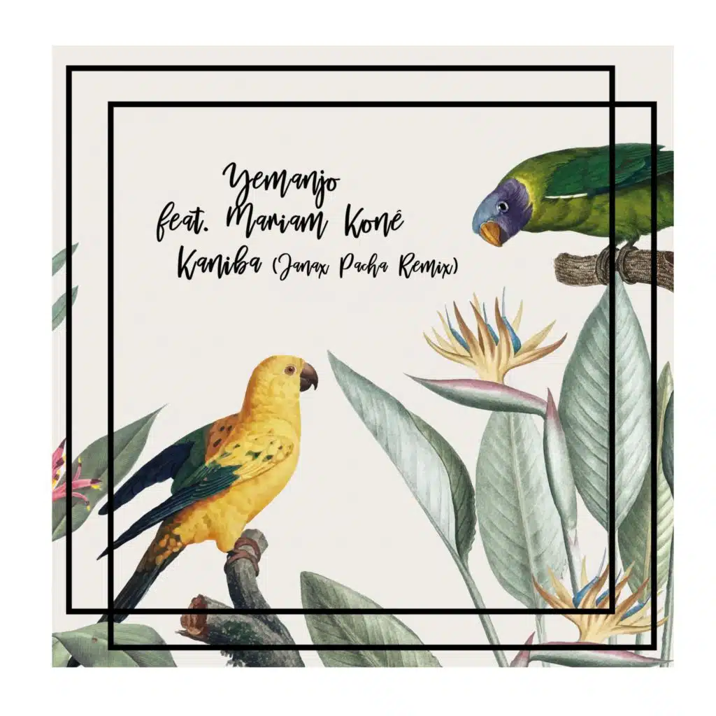 Kaniba (Janax Pacha Remix) [feat. Mariam Koné]