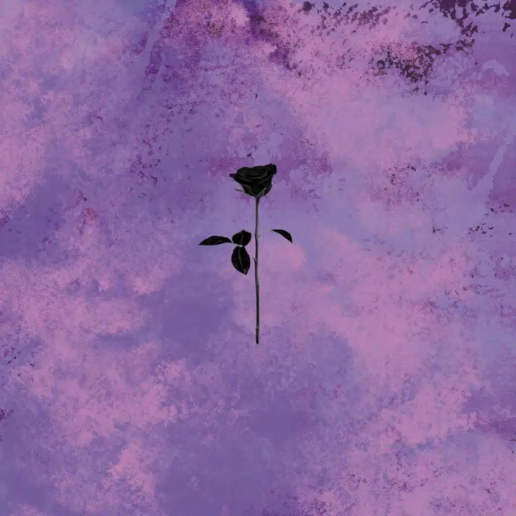 The Last