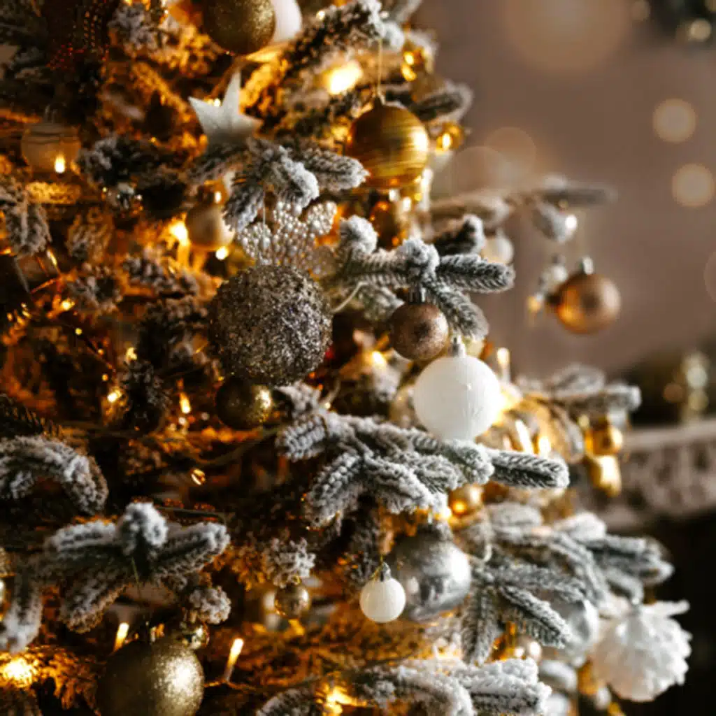 Stop Idolizing The Past & Move Forward✨