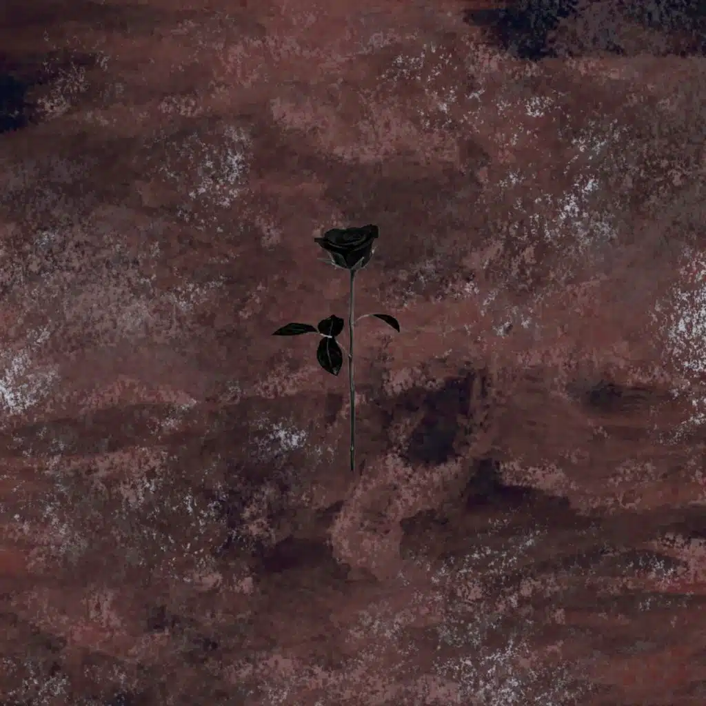 ID ID & Rafael Cerato