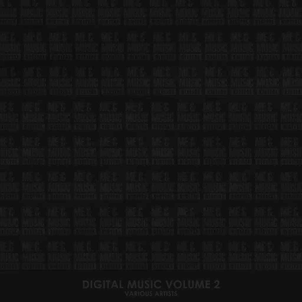 Digital Music, Vol. 2