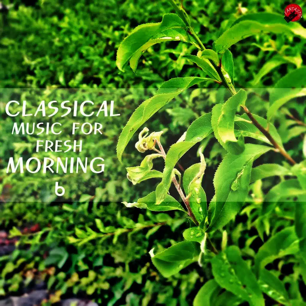 Classic Music For Fresh Morning 6