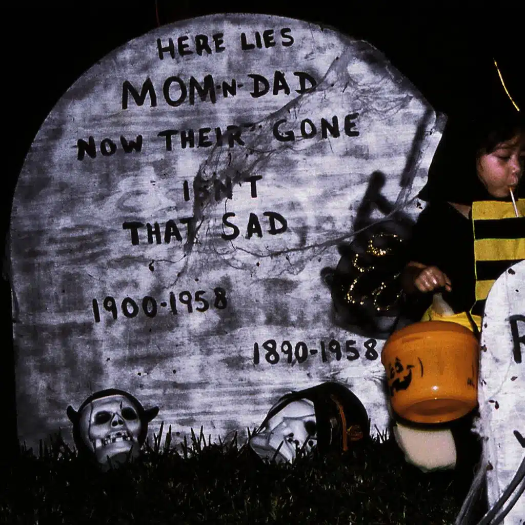 The Spirit Of The Beehive