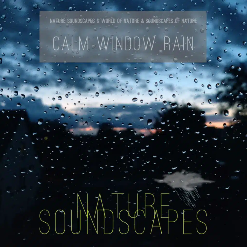 Calm Window Rain