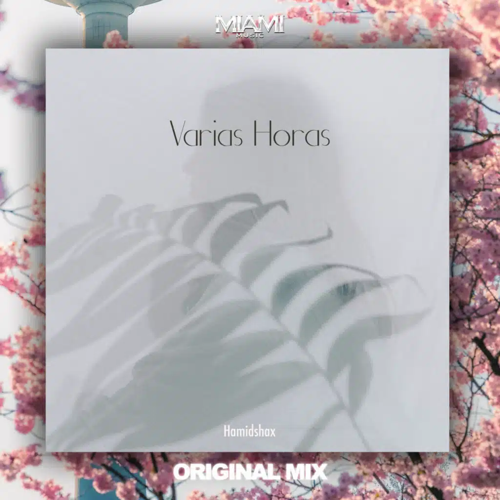 Varias Horas
