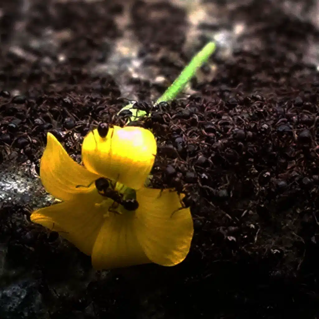 Regardless of Your Heart One Day You'll Rot.