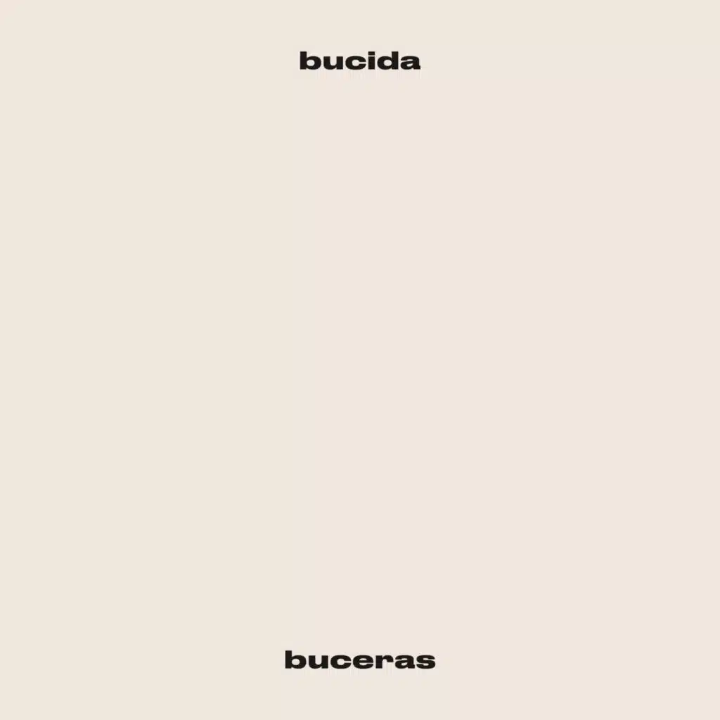 bucida buceras