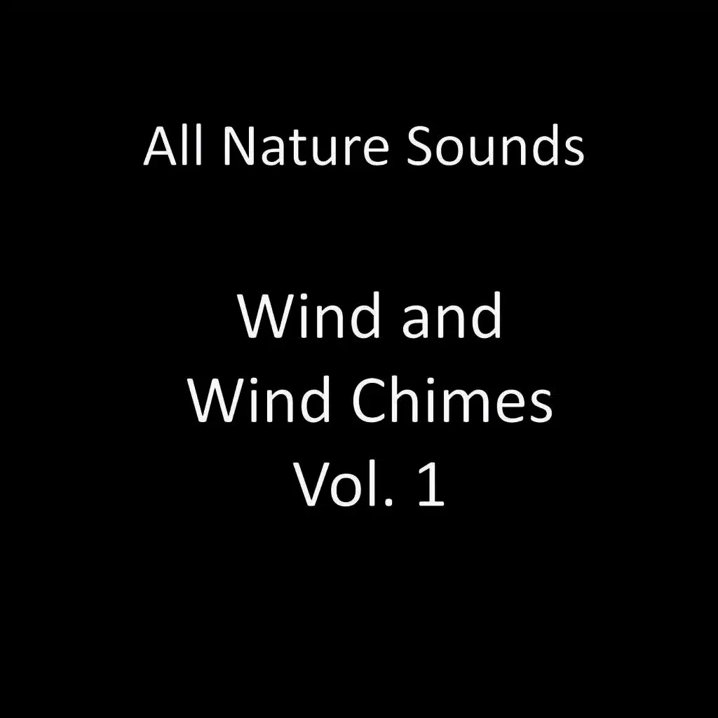 Very Windy Chimes