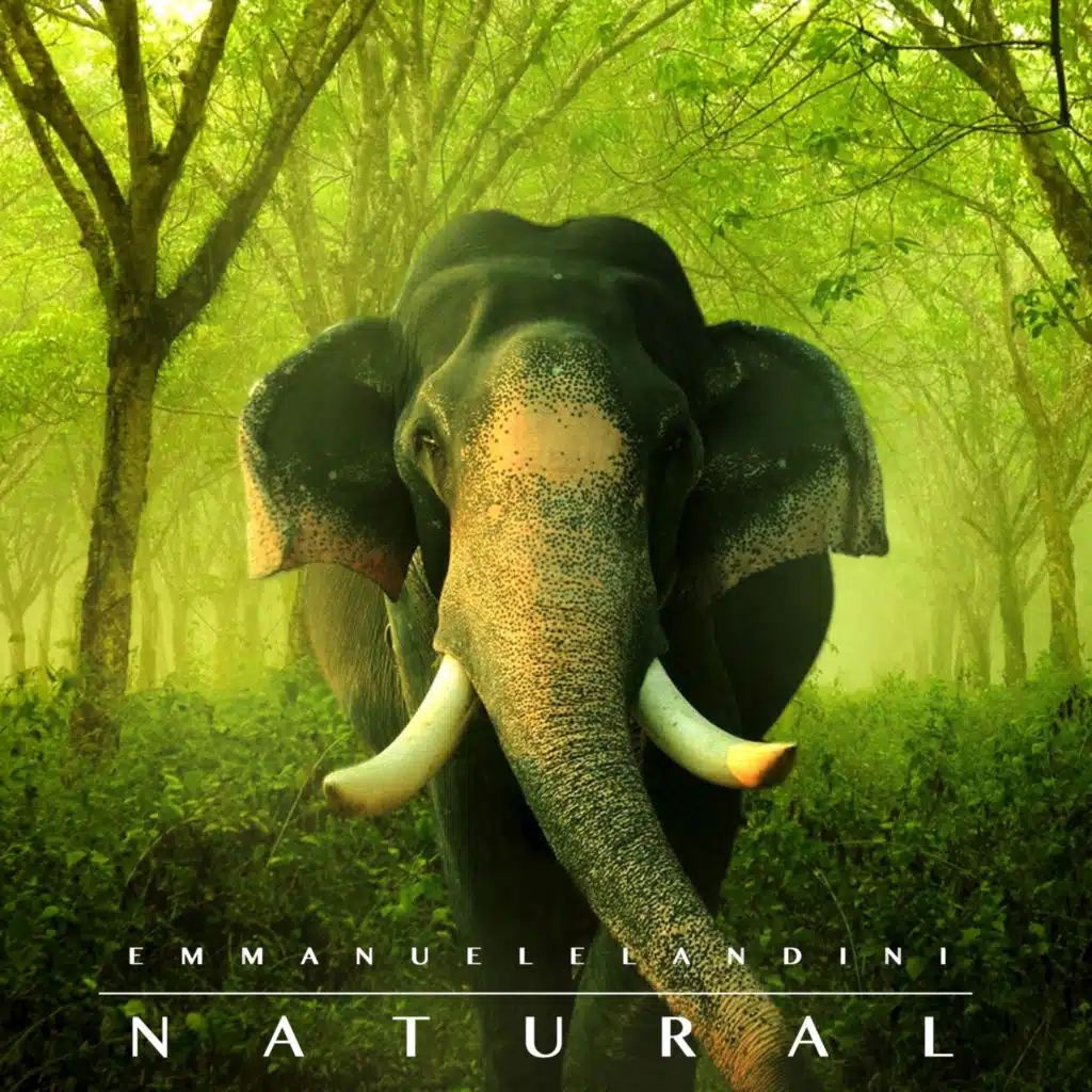 Natural (2023 Remastered)