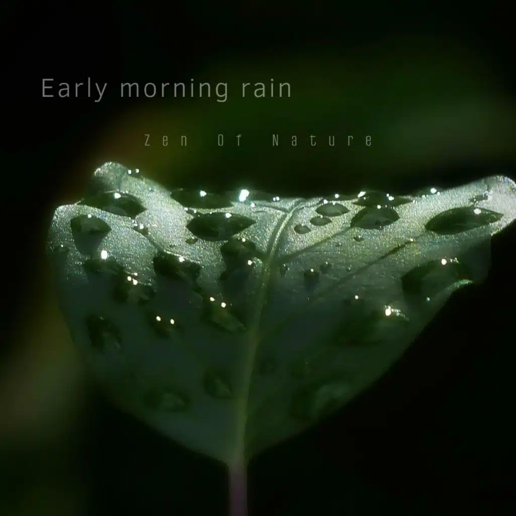 Early Morning Rain
