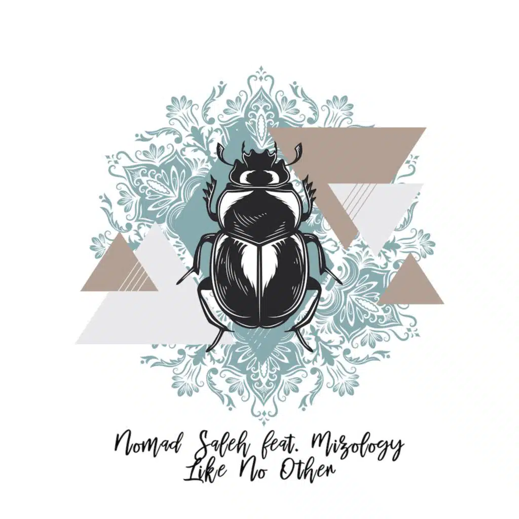 Like No Other (Radio Edit) [feat. Mizology]