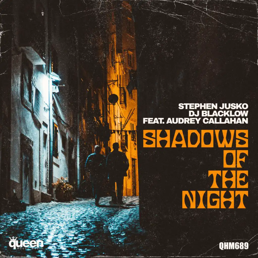 Shadows of the Night (Radio-Edit) [feat. Audrey Callahan]