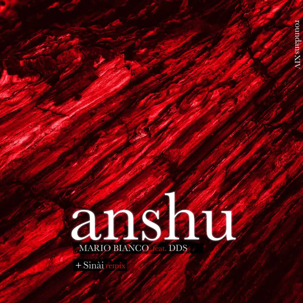 Anshu (feat. D.D.S.)