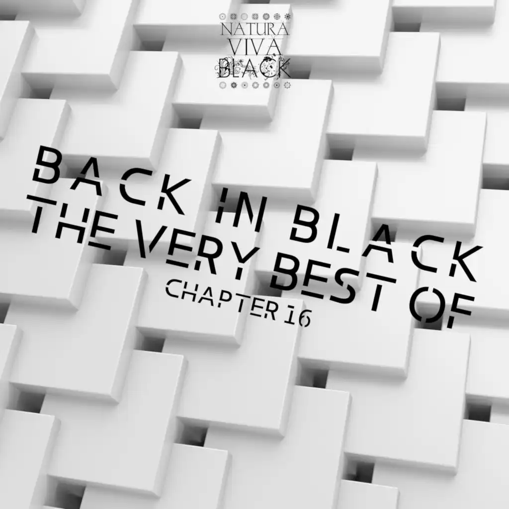 Back in Black! Chapter 16