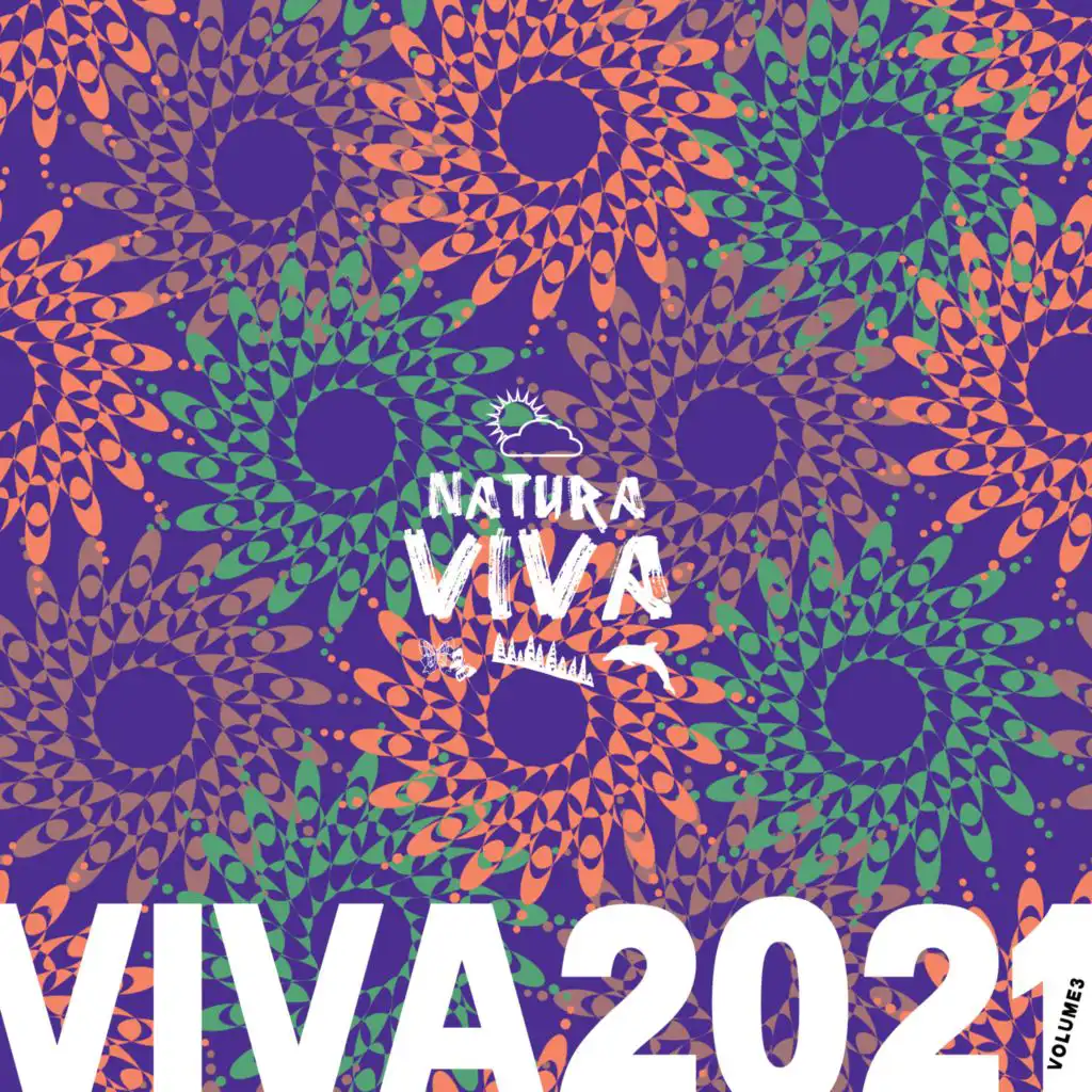 Viva 2021.3