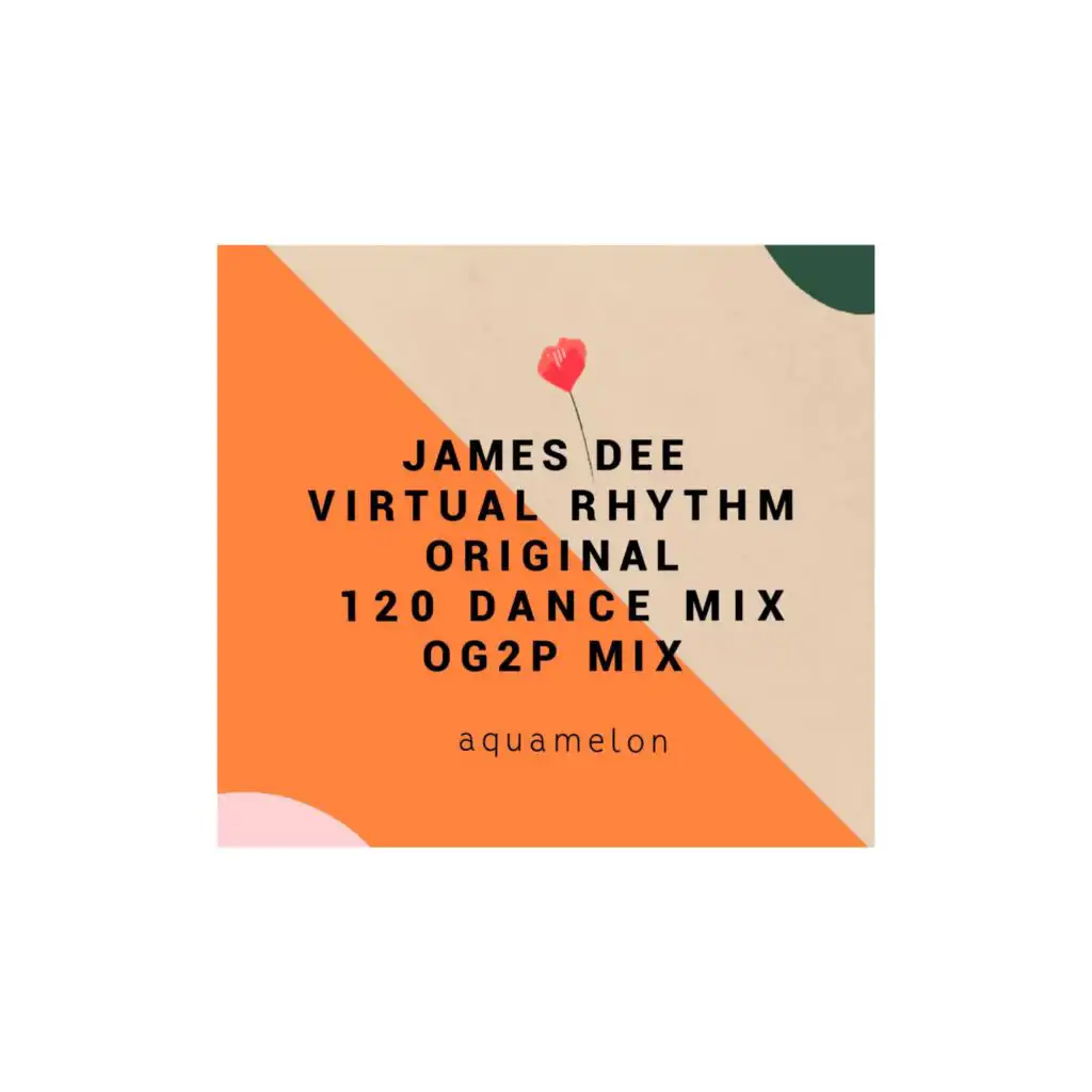 Virtual Rhythm (OG2P Remix)