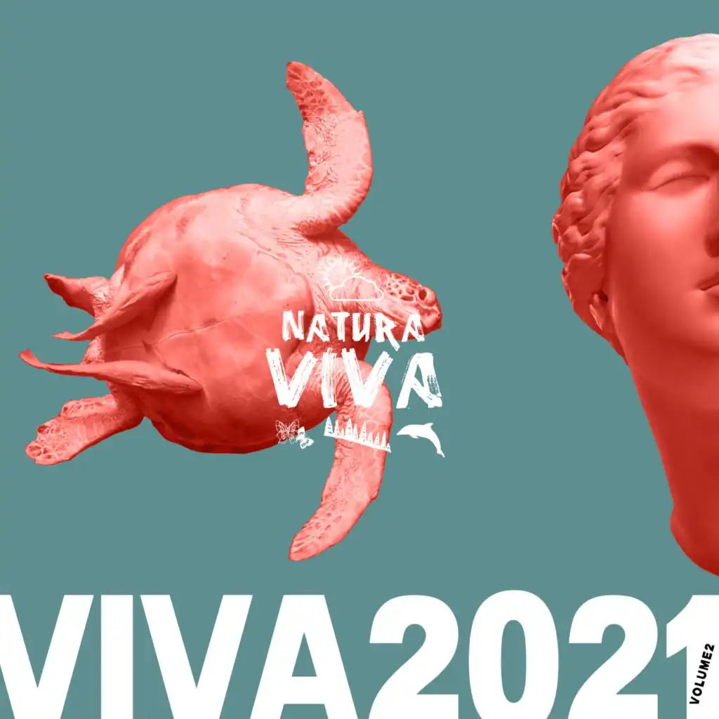 Viva 2021.2