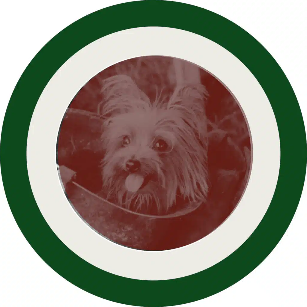 Smoky and Bill, a Holiday Card