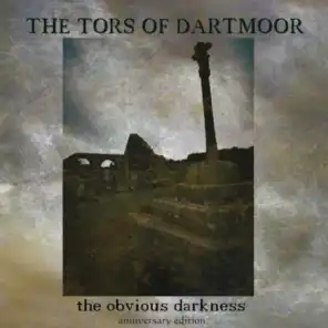 Tors Of Dartmoor