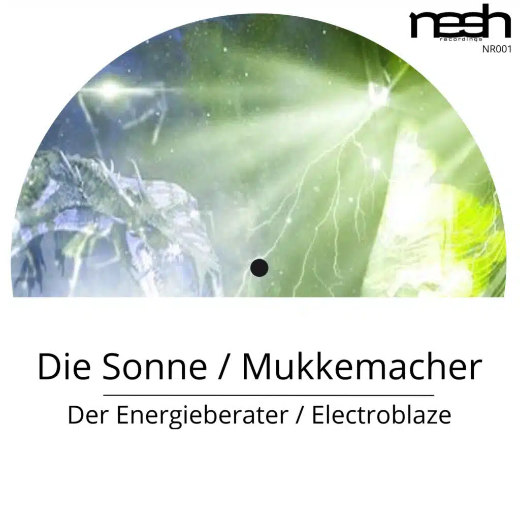 Der Energieberater & Electroblaze