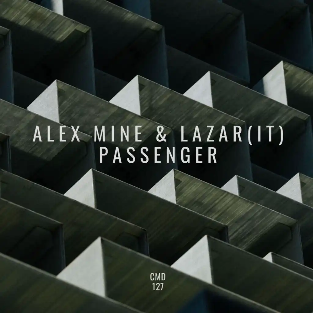 Alex Mine and Lazar (IT)