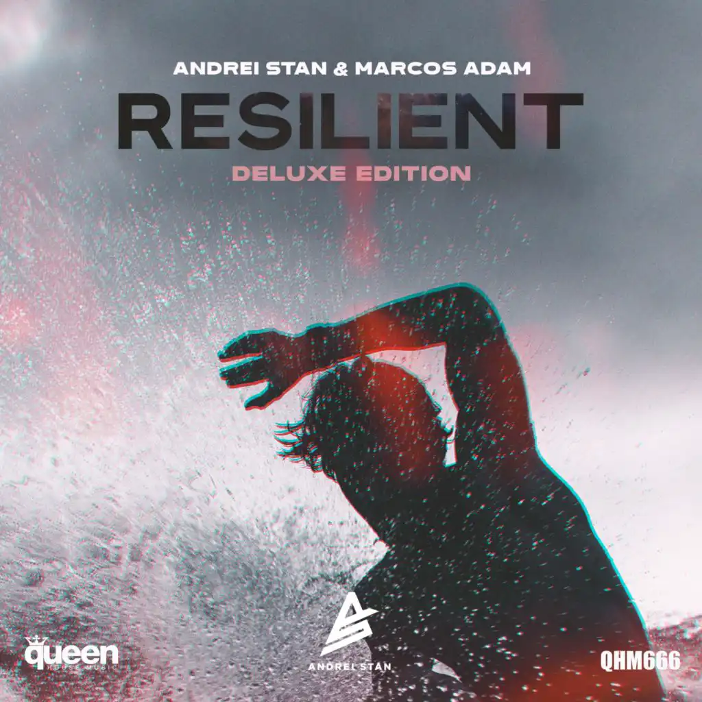 Resilient (DJ Head Remix)