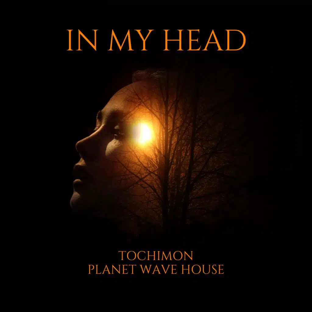 TOCHIMON & Planet Wave House