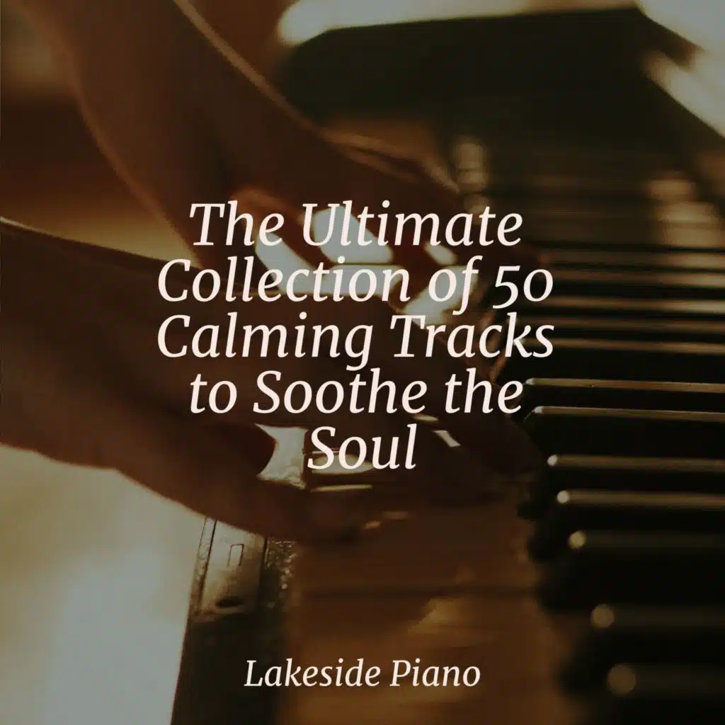 The Ultimate Collection of 50 Calming Tracks to Soothe the Soul